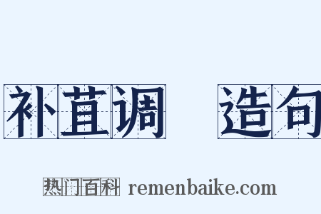 补苴调胹造句是什么意思的图片